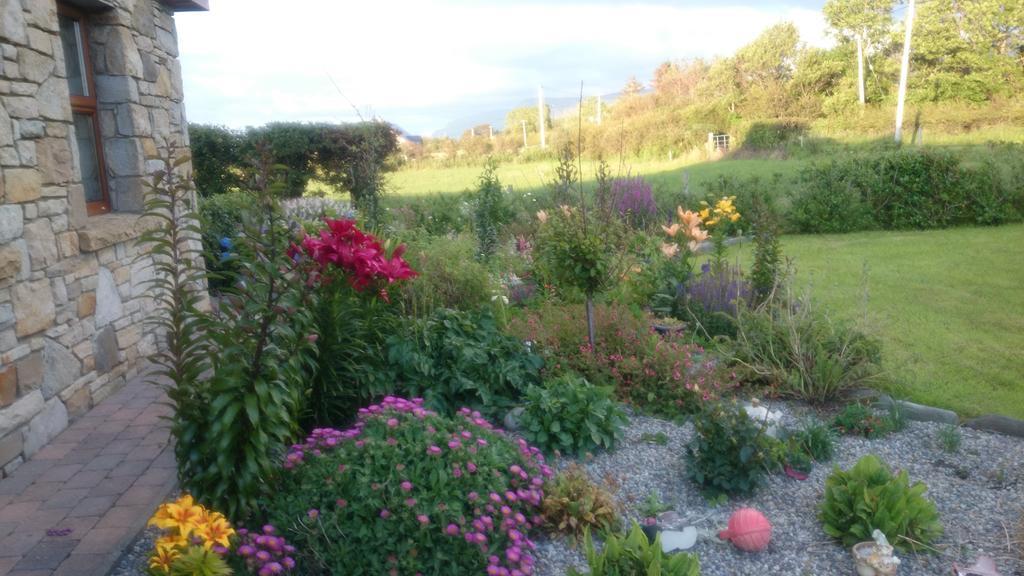 Atlantic Way B&B Grange  Eksteriør bilde