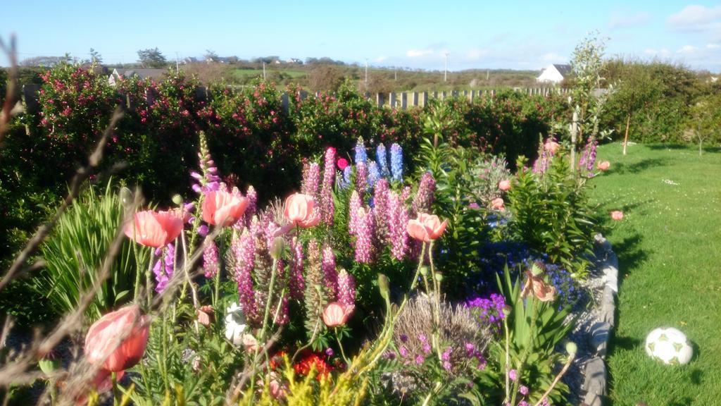 Atlantic Way B&B Grange  Eksteriør bilde