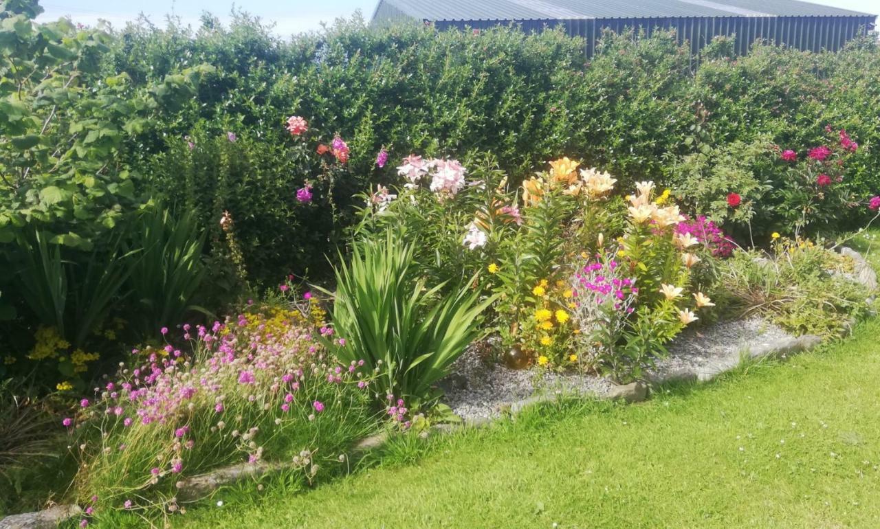 Atlantic Way B&B Grange  Eksteriør bilde